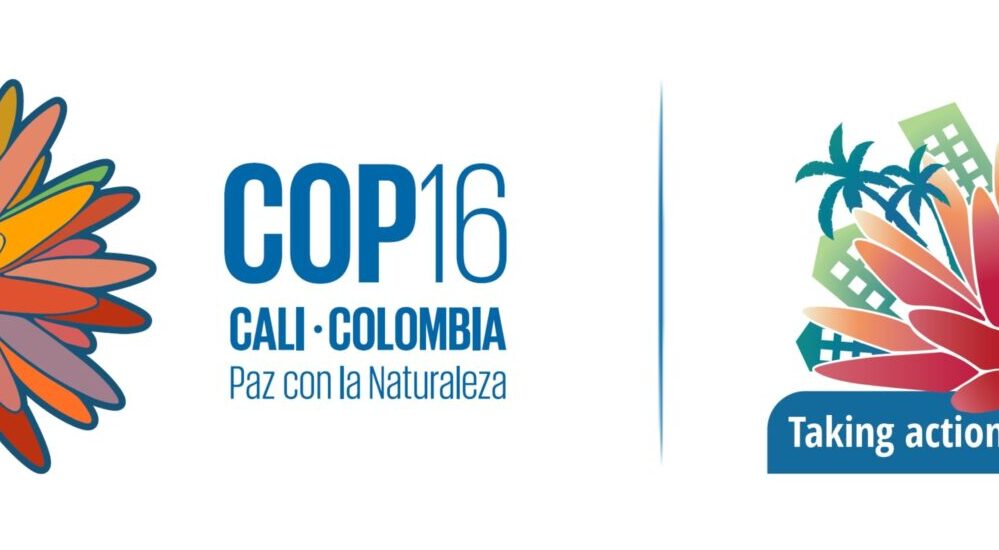 COP16 8th Summit for Subnational Governments Cities Summit logo