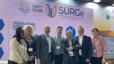Partners to the SURGe Initiative gather at COP27