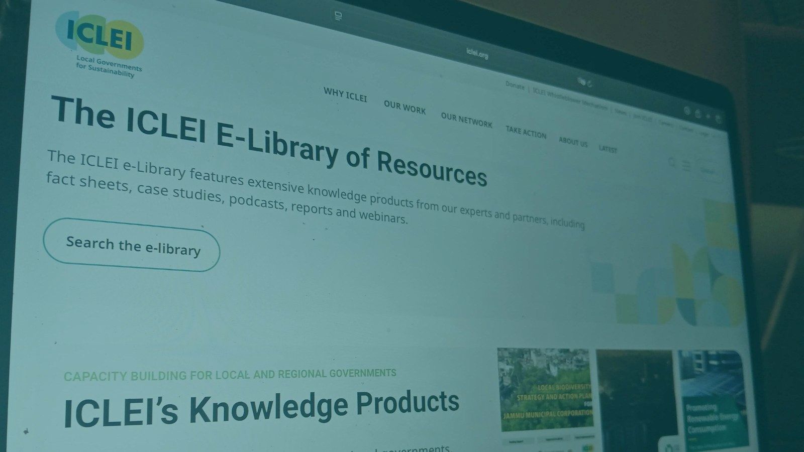 ICLEI - Local Governments for Sustainability